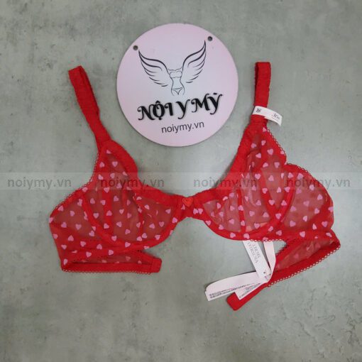 Áo lót Victoria Secret