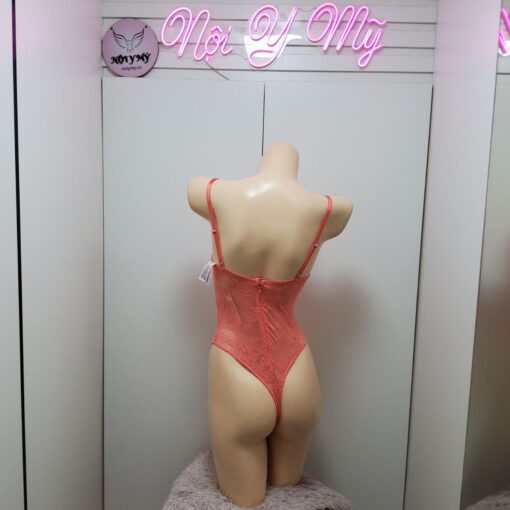 teddy Victoria Secret