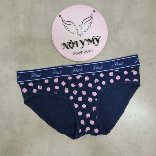 Quần lót Pink nguyên mông thun cotton lưng logo xanh navy hoạ tiết 416217r9g (Sao chép)