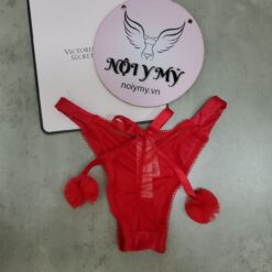 Quần lót Victoria Secret nửa mông lưng cao thun lạnh phối ren phía sau đính nơ màu đỏ 431451qd4